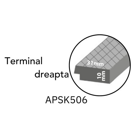 Terminatie APSK506 riflaj 31x2800x10mm