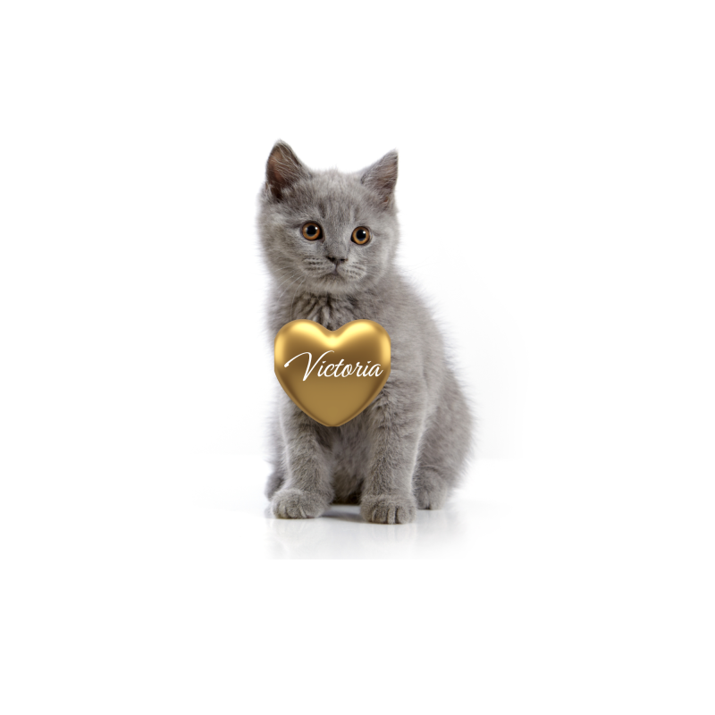 Tablou personalizat