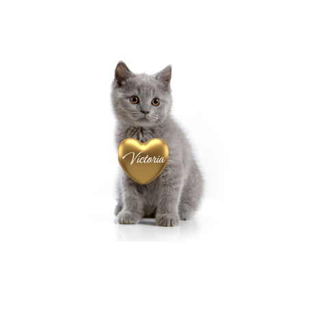 Tablou personalizat