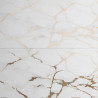 Gresie Lotus Gold 60x120cm